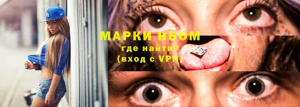 мдпв Гусь-Хрустальный