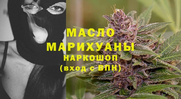 хмурый Дмитров