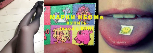 хмурый Дмитров