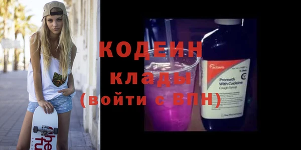 хмурый Дмитров