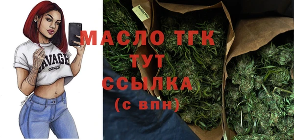 мдпв Гусь-Хрустальный