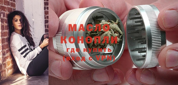 хмурый Дмитров