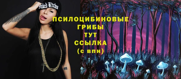 круглые Гусиноозёрск