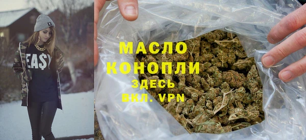хмурый Дмитров