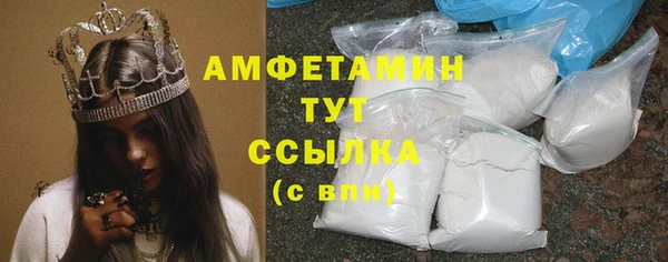 дмт Дмитриев