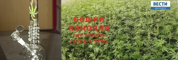 дмт Дмитриев