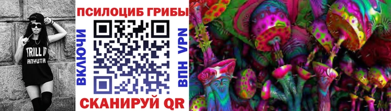 Псилоцибиновые грибы Psilocybine cubensis  OMG вход  Саратов 