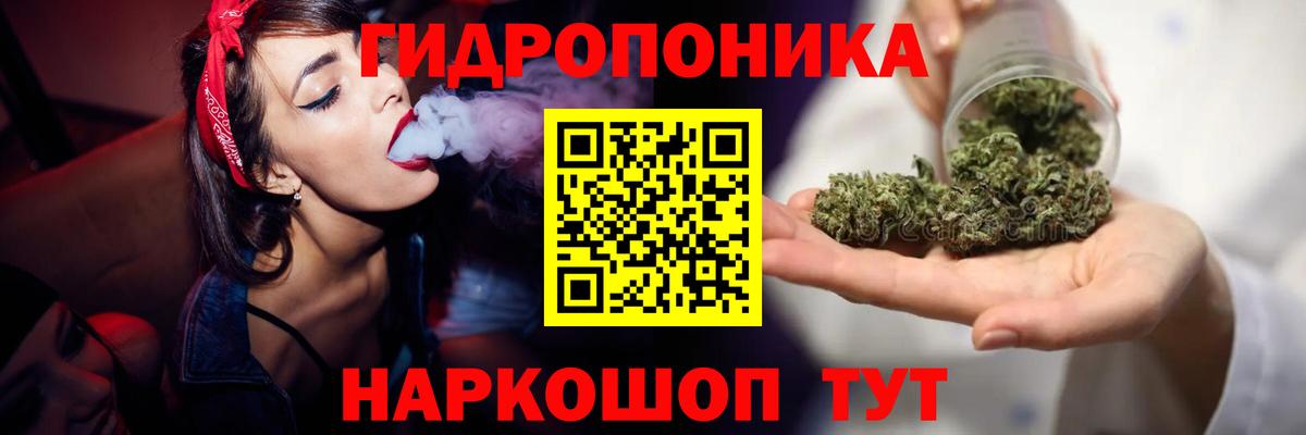Бошки Шишки планчик Саратов